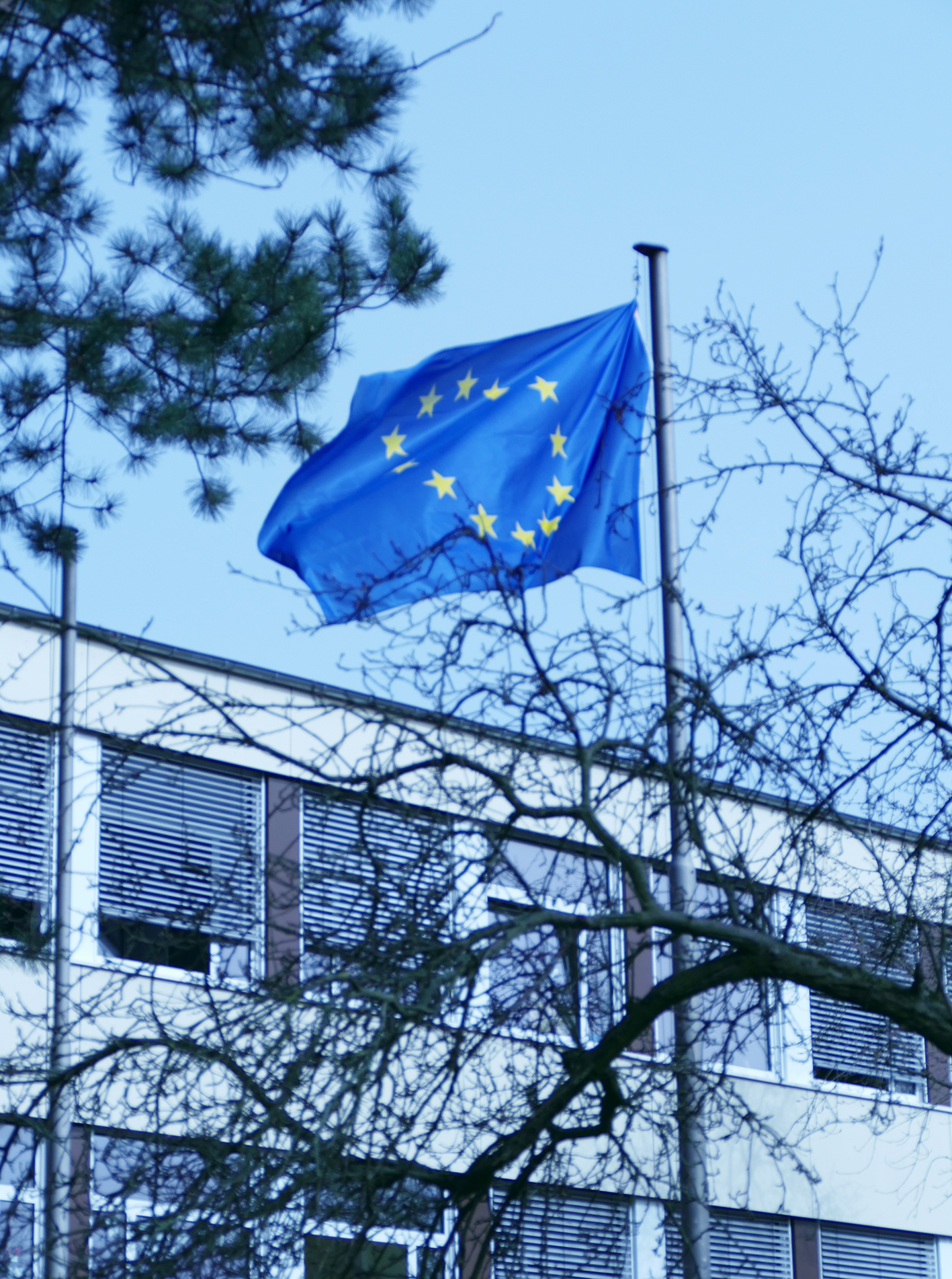 Die Henry-Ford-Realschule hisst die Europaflagge