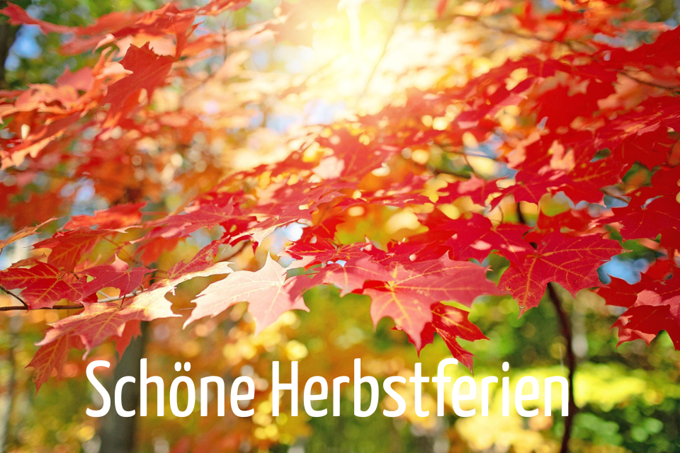 ...wünschen wir euch allen!